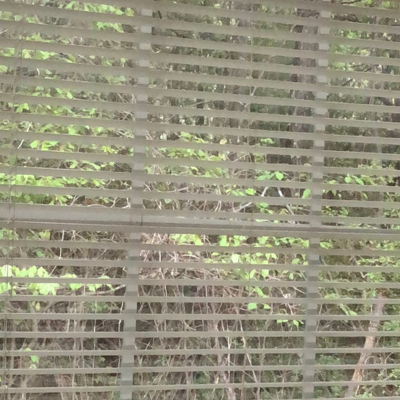 Meet your Posher, Hamisi - Picture 1 of 1